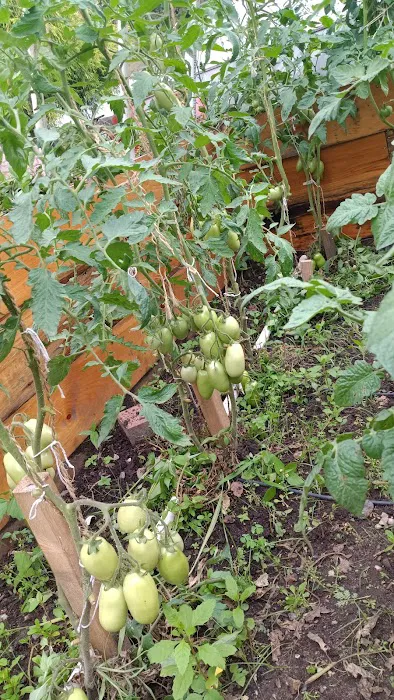 Garden of Happiness Picture 2