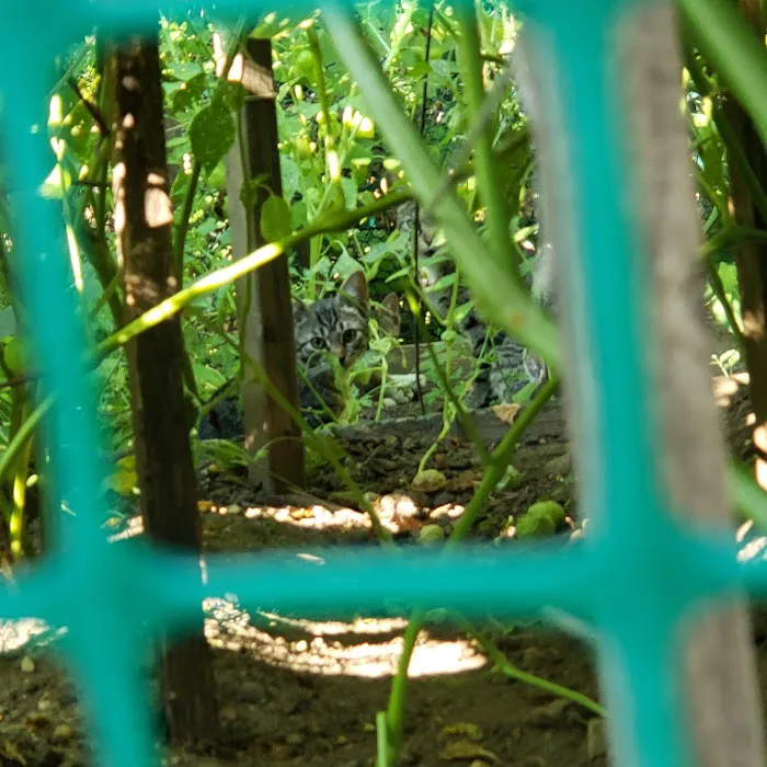 Garden of Happiness Picture 10