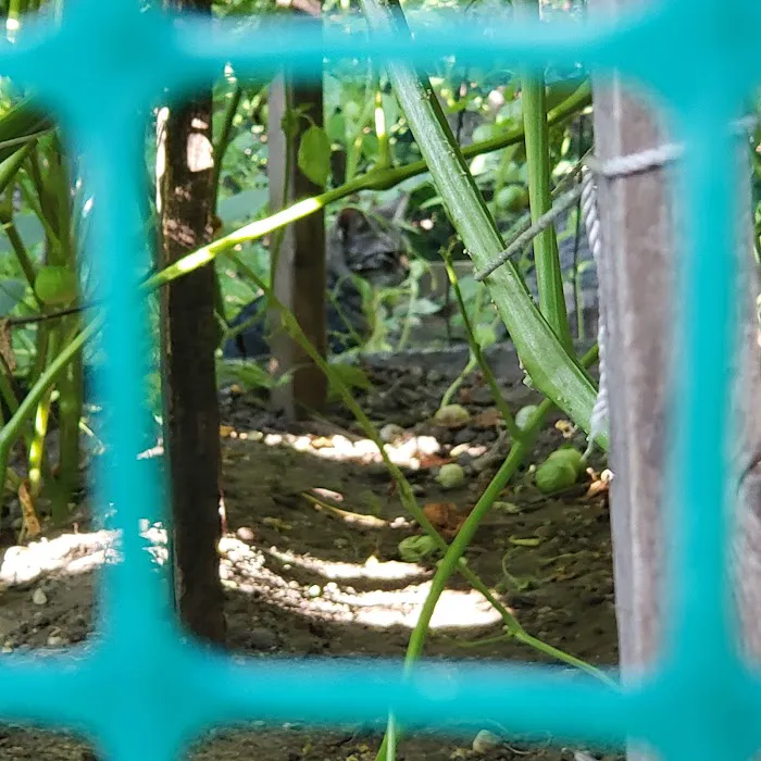Garden of Happiness Picture 4