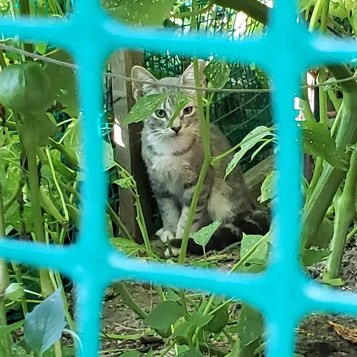Garden of Happiness Picture 3