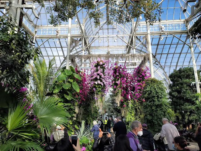 Enid A. Haupt Conservatory, NYBG Picture 8