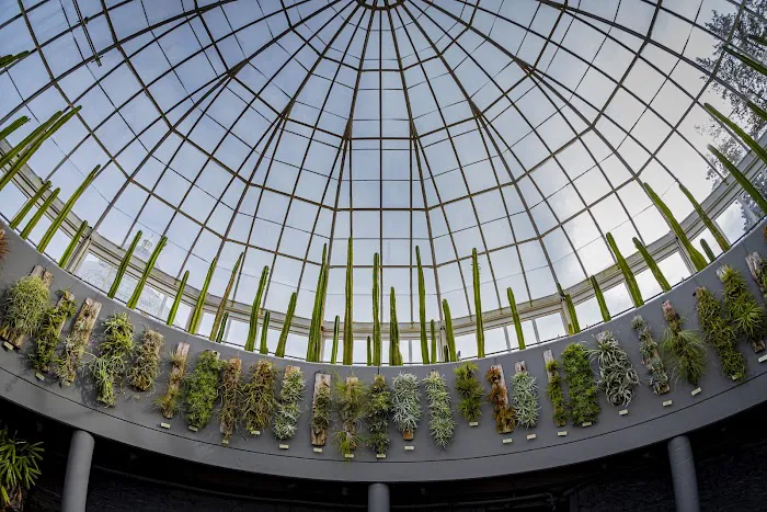 Enid A. Haupt Conservatory, NYBG Picture 4