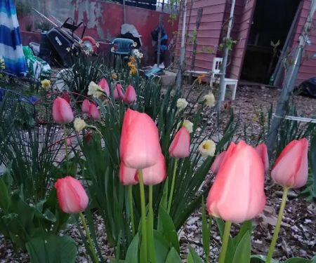 Krystal Garden Group