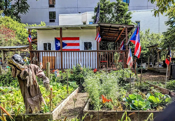 Daly Avenue Garden Picture 4