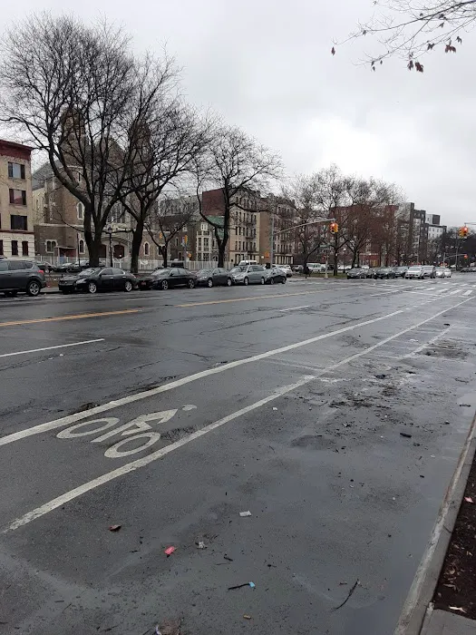 Crotona Parkway Malls Picture 6