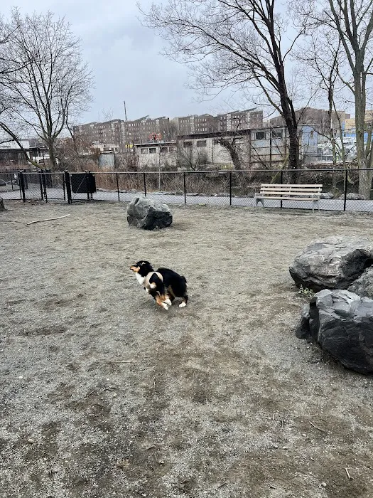 Starlight Park Dog Run Picture 10