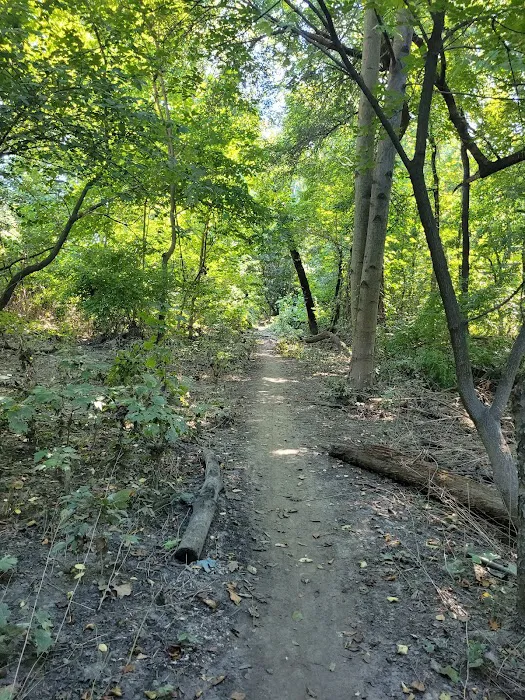 Bronx River Trail Picture 9