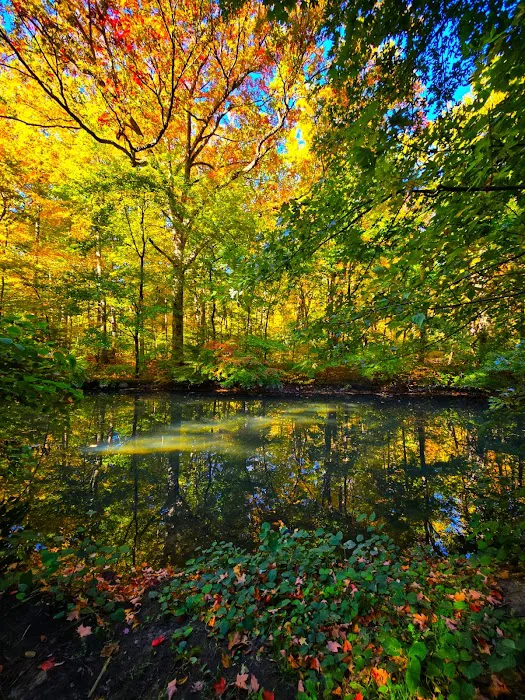 Bronx River Trail Picture 4