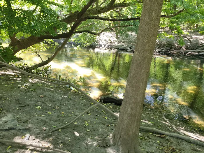 Bronx River Trail Picture 6