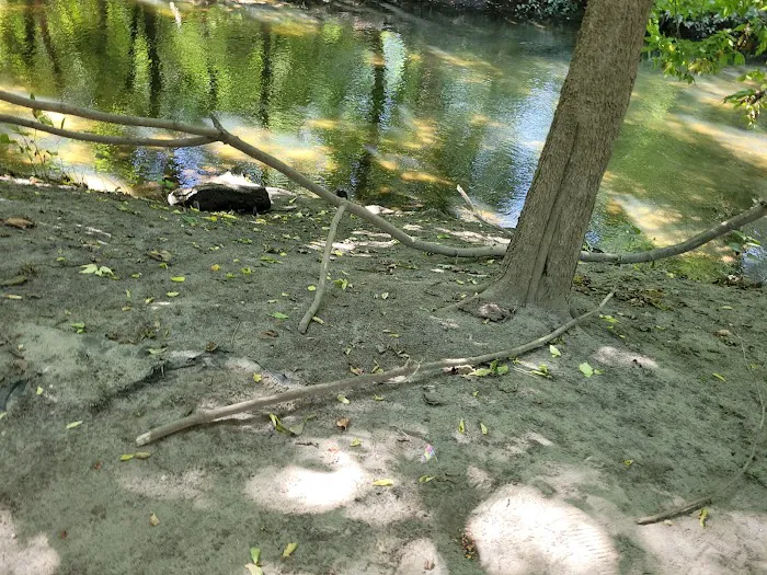 Bronx River Trail Picture 5