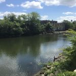 Concrete Plant Park