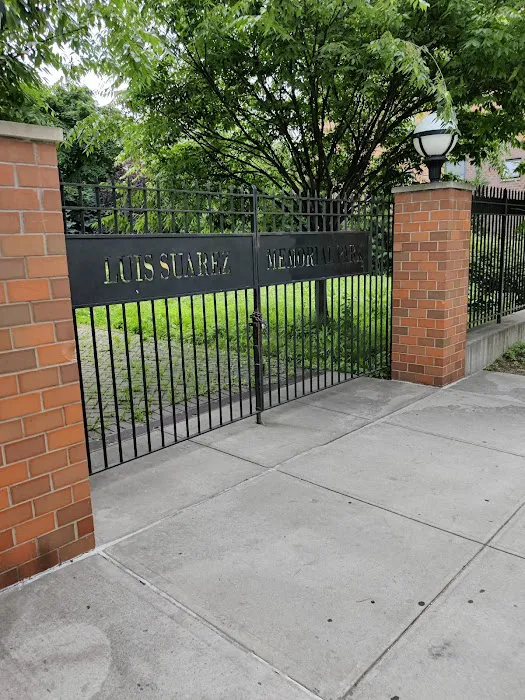 Luis Suarez Memorial Park Picture 1
