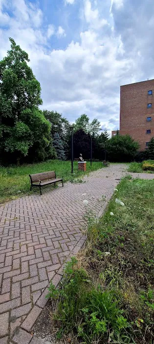Luis Suarez Memorial Park Picture 6