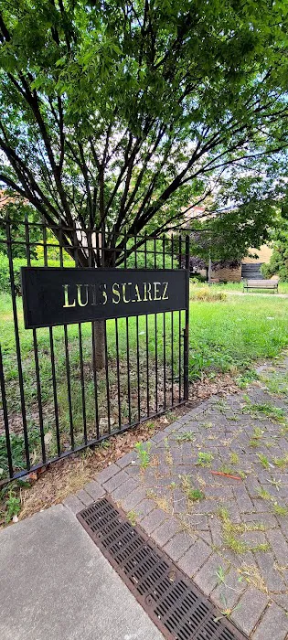 Luis Suarez Memorial Park Picture 8