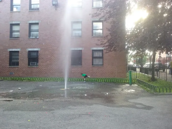 Steven Dougwillo Park Picture 8