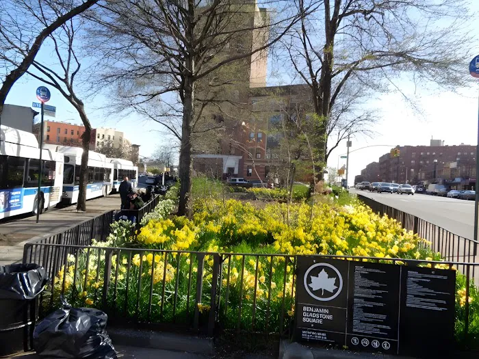Benjamin Gladstone Square Picture 10