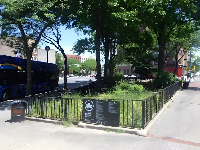 Benjamin Gladstone Square Picture 6