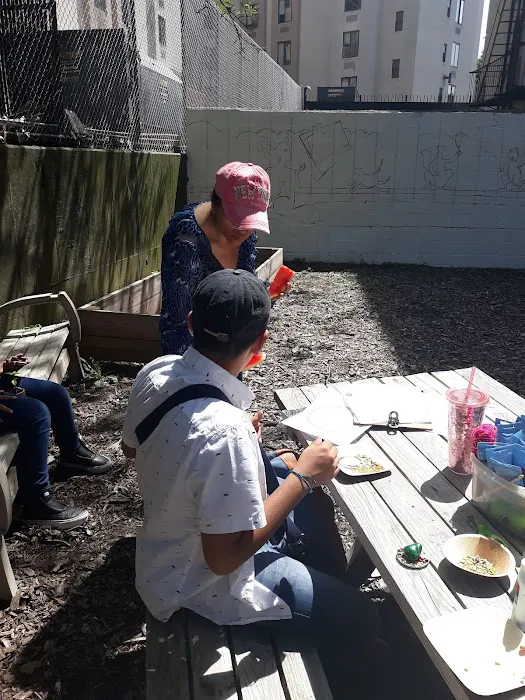 Kelly Street Garden Picture 1