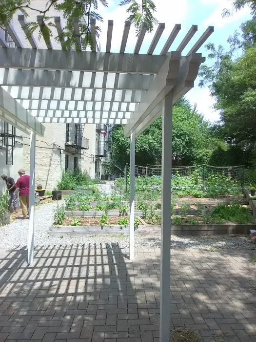 Kelly Street Garden Picture 8