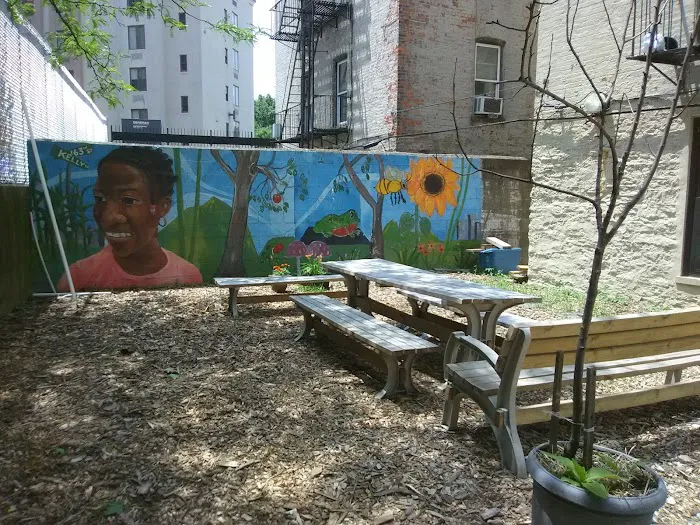 Kelly Street Garden Picture 9