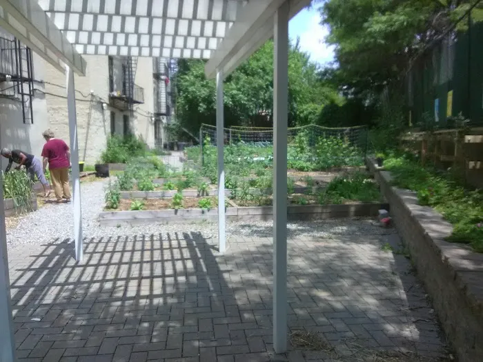 Kelly Street Garden Picture 4