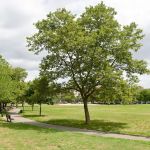 Bill Rainey Park