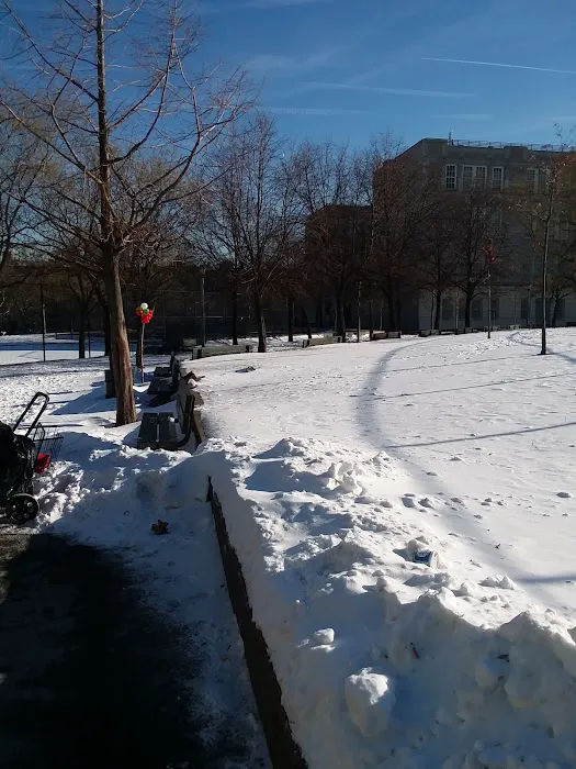 Bill Rainey Park Picture 9