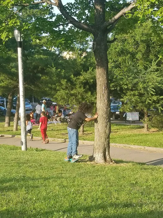 Bill Rainey Park Picture 7