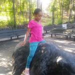 Dawson Playground