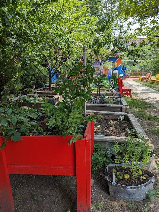 Bronx Sunshine Garden Picture 5