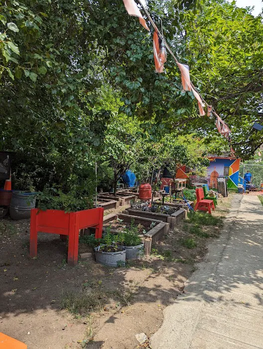 Bronx Sunshine Garden Picture 9