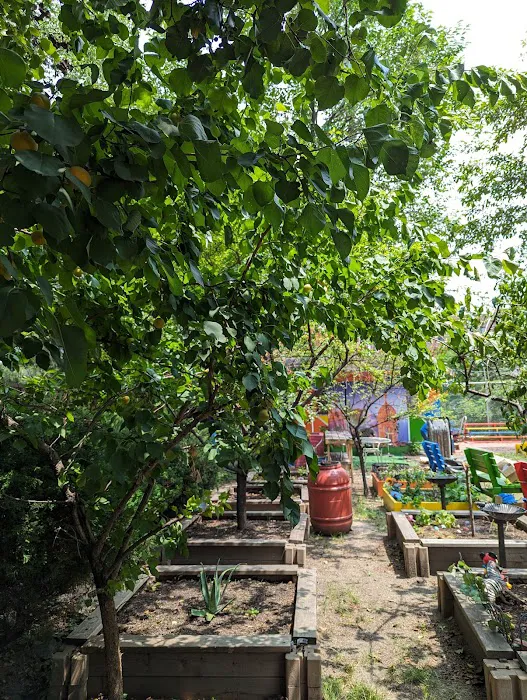 Bronx Sunshine Garden Picture 2