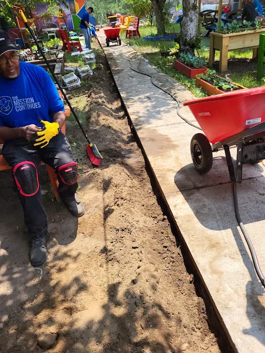 Bronx Sunshine Garden Picture 4