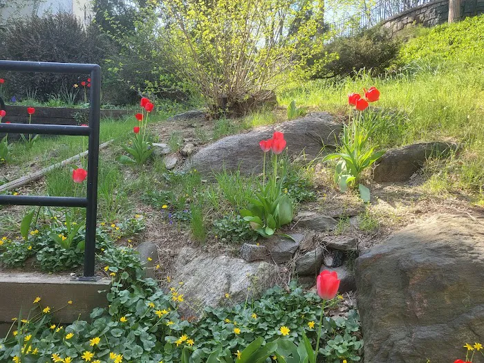 Rock Garden Park Picture 5