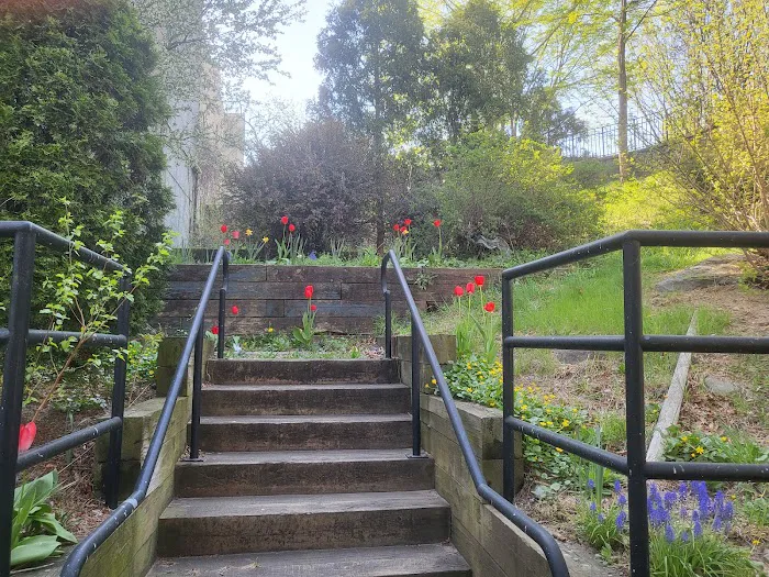 Rock Garden Park Picture 7