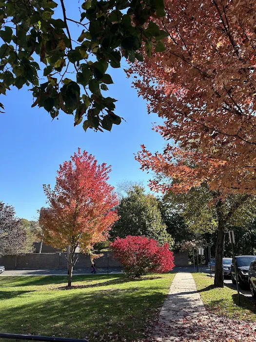 Parkway Oval Park Picture 10