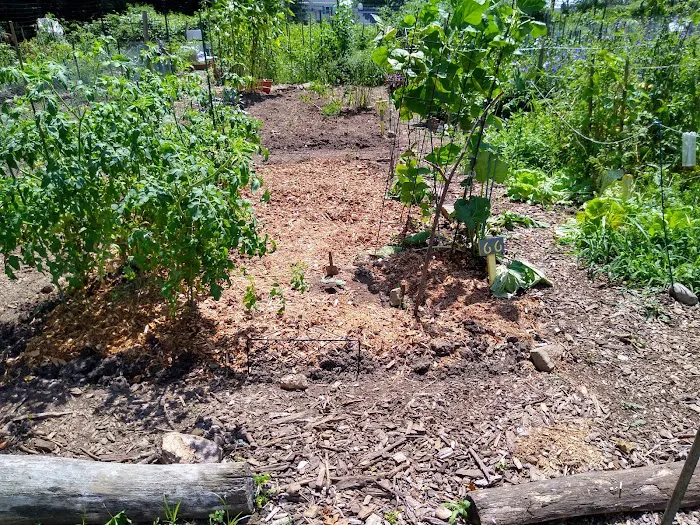 Ward Acres Community Garden Picture 1