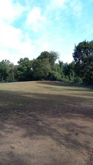 Dog park Picture 1