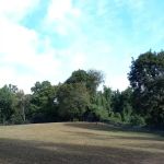 Dog park