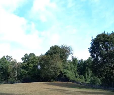 Dog park