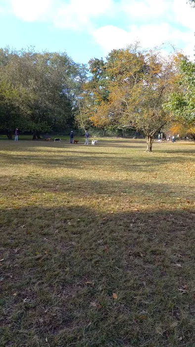 Dog park Picture 2