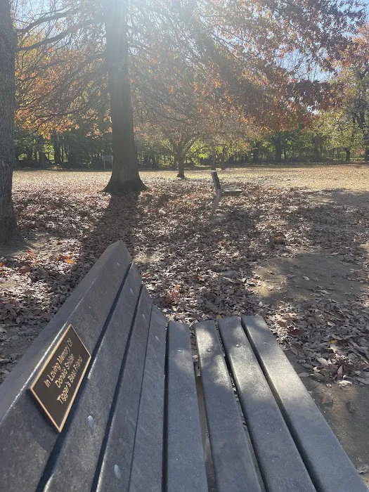 Dog park Picture 8