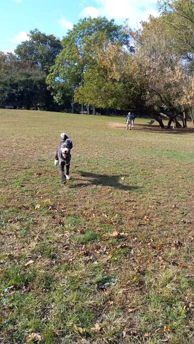 Dog park Picture 7