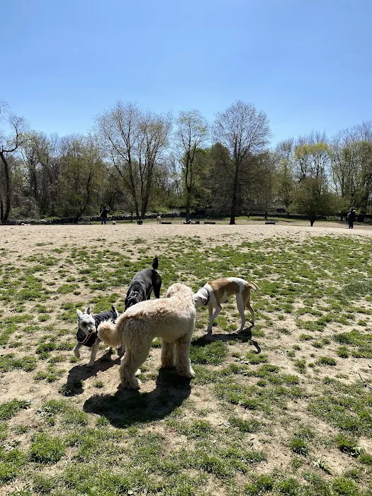 Paws Place Dog Park Picture 5
