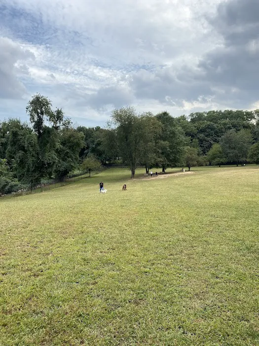 Paws Place Dog Park Picture 2