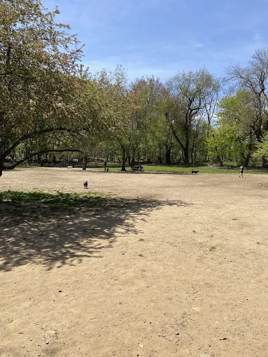 Paws Place Dog Park Picture 4