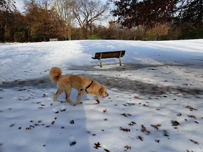 Paws Place Dog Park Picture 7