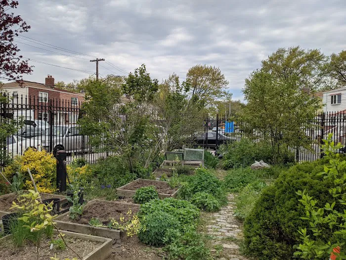 McIntosh Neighborhood Association Garden Picture 5