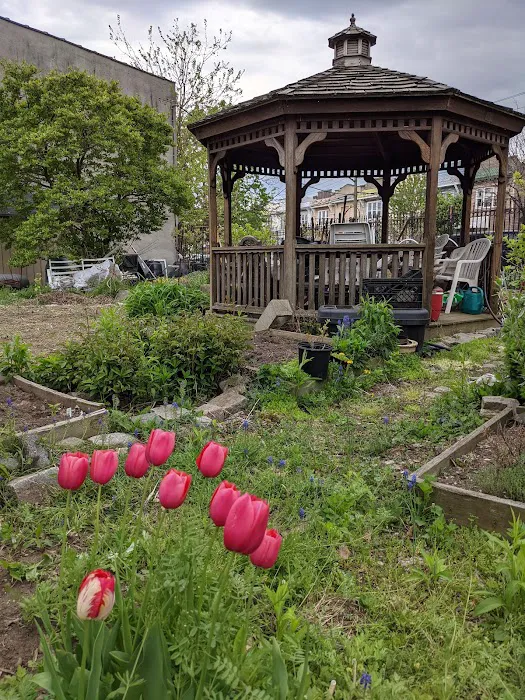 McIntosh Neighborhood Association Garden Picture 2