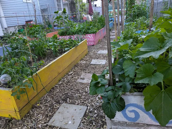 97th Street Community Garden Picture 10